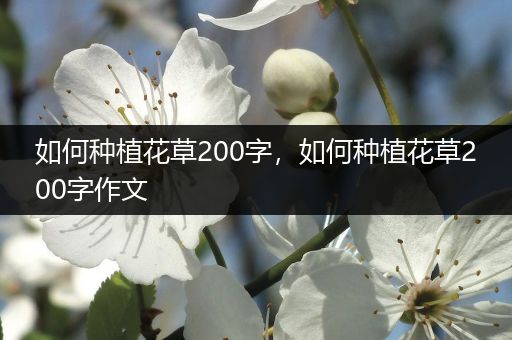 如何种植花草200字，如何种植花草200字作文