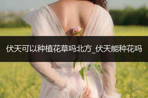 伏天可以种植花草吗北方_伏天能种花吗