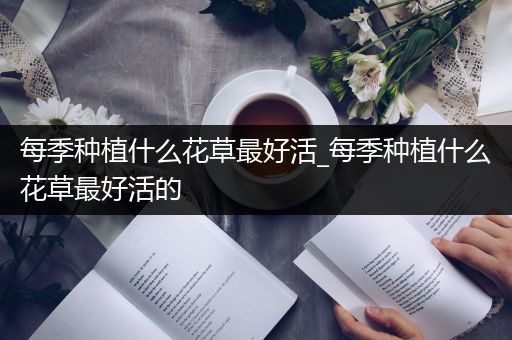 每季种植什么花草最好活_每季种植什么花草最好活的