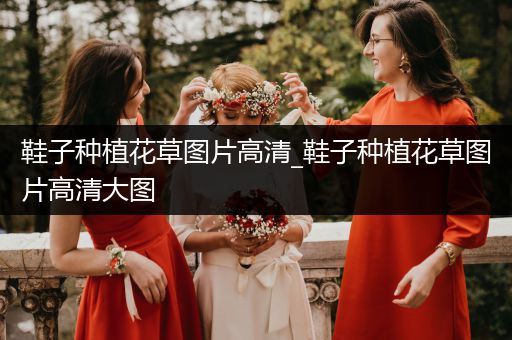 鞋子种植花草图片高清_鞋子种植花草图片高清大图