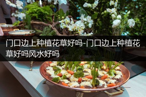 门口边上种植花草好吗-门口边上种植花草好吗风水好吗