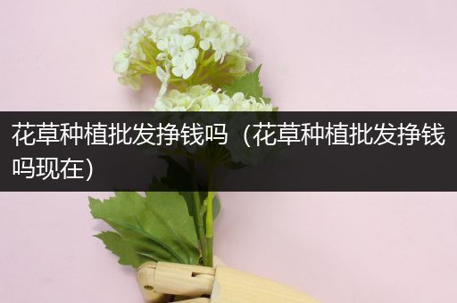 花草种植批发挣钱吗（花草种植批发挣钱吗现在）