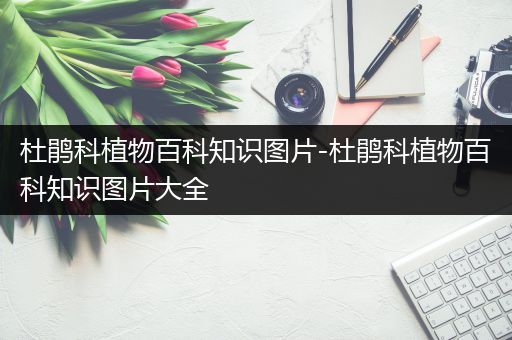 杜鹃科植物百科知识图片-杜鹃科植物百科知识图片大全
