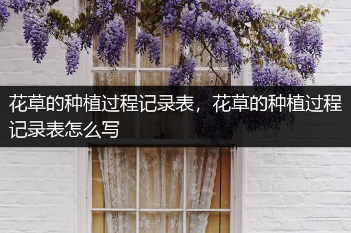 花草的种植过程记录表，花草的种植过程记录表怎么写