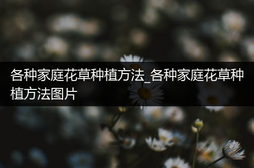 各种家庭花草种植方法_各种家庭花草种植方法图片