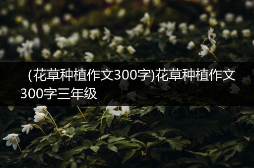 （花草种植作文300字)花草种植作文300字三年级