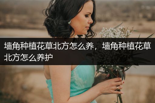 墙角种植花草北方怎么养，墙角种植花草北方怎么养护
