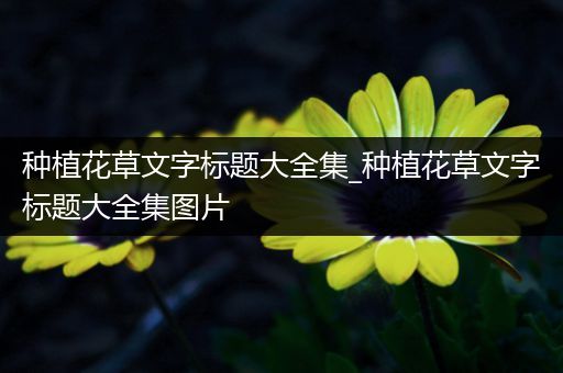 种植花草文字标题大全集_种植花草文字标题大全集图片