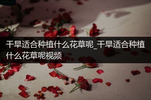 干旱适合种植什么花草呢_干旱适合种植什么花草呢视频