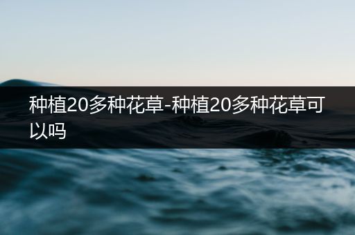 种植20多种花草-种植20多种花草可以吗