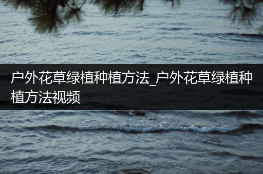 户外花草绿植种植方法_户外花草绿植种植方法视频