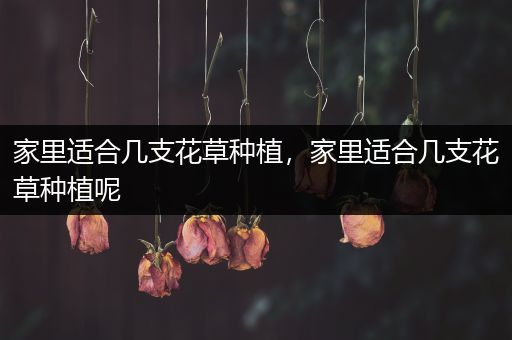 家里适合几支花草种植，家里适合几支花草种植呢