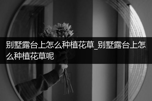 别墅露台上怎么种植花草_别墅露台上怎么种植花草呢