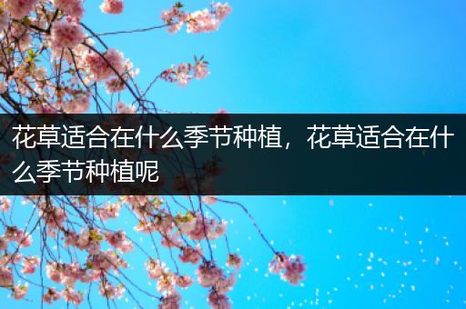花草适合在什么季节种植，花草适合在什么季节种植呢