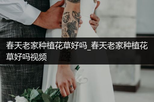 春天老家种植花草好吗_春天老家种植花草好吗视频