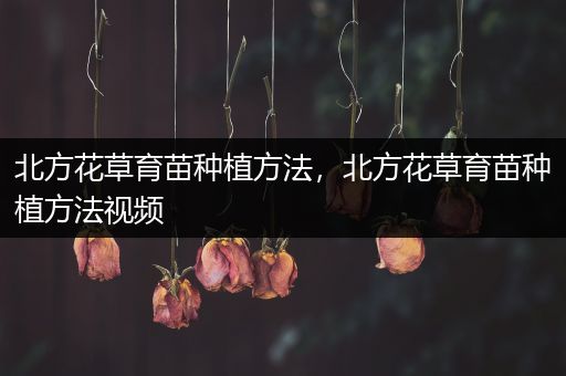北方花草育苗种植方法，北方花草育苗种植方法视频
