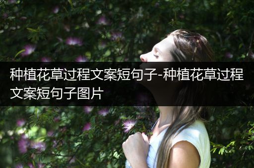 种植花草过程文案短句子-种植花草过程文案短句子图片