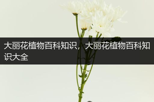 大丽花植物百科知识，大丽花植物百科知识大全
