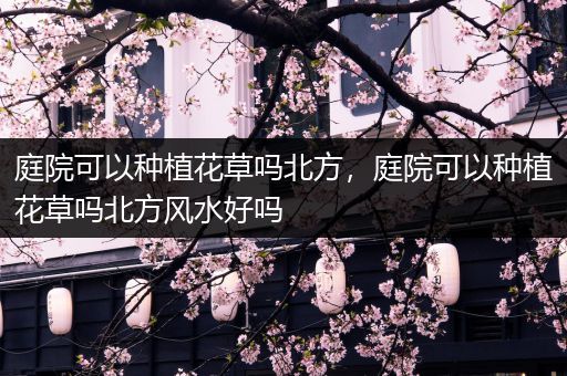 庭院可以种植花草吗北方，庭院可以种植花草吗北方风水好吗