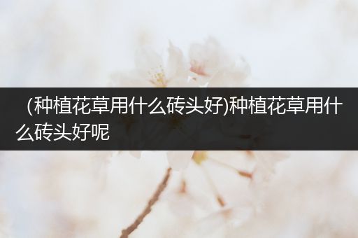 （种植花草用什么砖头好)种植花草用什么砖头好呢