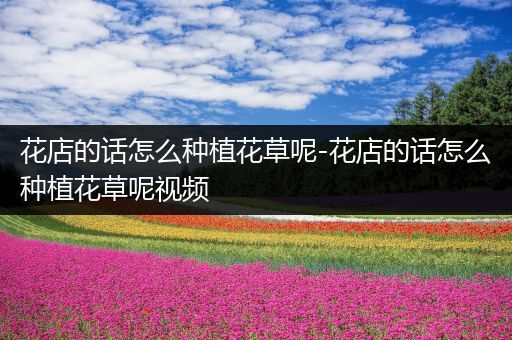 花店的话怎么种植花草呢-花店的话怎么种植花草呢视频