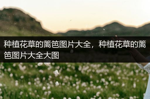 种植花草的篱笆图片大全，种植花草的篱笆图片大全大图