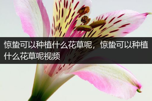 惊蛰可以种植什么花草呢，惊蛰可以种植什么花草呢视频