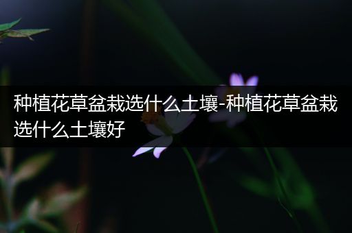 种植花草盆栽选什么土壤-种植花草盆栽选什么土壤好