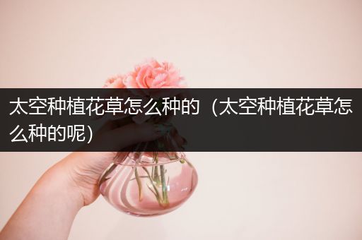 太空种植花草怎么种的（太空种植花草怎么种的呢）