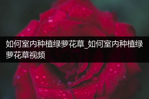 如何室内种植绿萝花草_如何室内种植绿萝花草视频