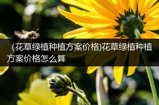 （花草绿植种植方案价格)花草绿植种植方案价格怎么算