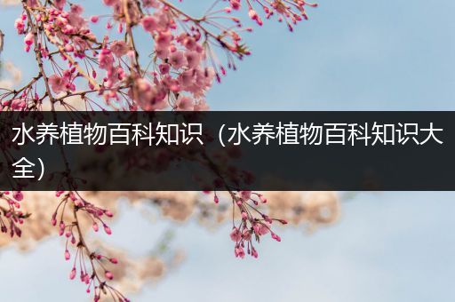 水养植物百科知识（水养植物百科知识大全）