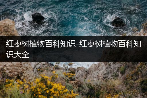 红枣树植物百科知识-红枣树植物百科知识大全
