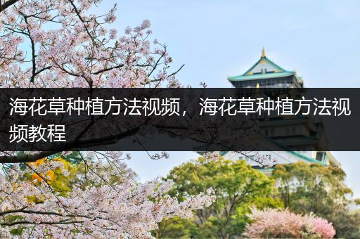 海花草种植方法视频，海花草种植方法视频教程