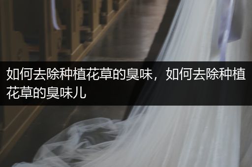 如何去除种植花草的臭味，如何去除种植花草的臭味儿