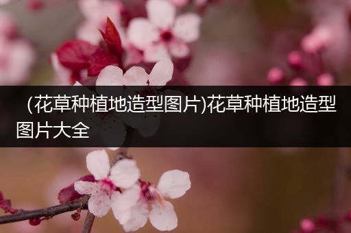 （花草种植地造型图片)花草种植地造型图片大全
