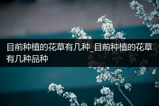 目前种植的花草有几种_目前种植的花草有几种品种