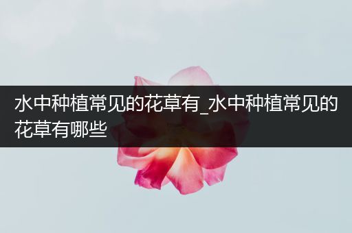 水中种植常见的花草有_水中种植常见的花草有哪些