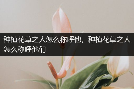 种植花草之人怎么称呼他，种植花草之人怎么称呼他们