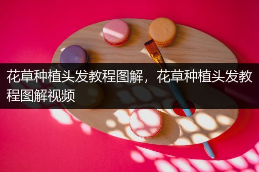 花草种植头发教程图解，花草种植头发教程图解视频