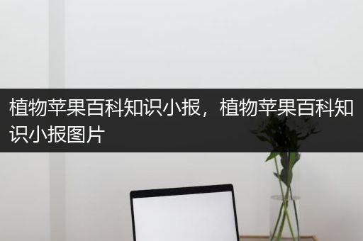 植物苹果百科知识小报，植物苹果百科知识小报图片