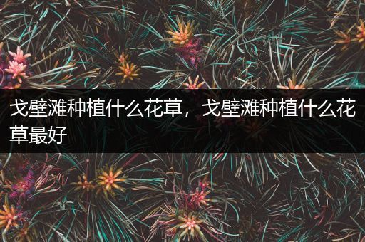 戈壁滩种植什么花草，戈壁滩种植什么花草最好