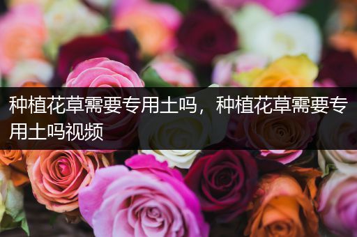 种植花草需要专用土吗，种植花草需要专用土吗视频