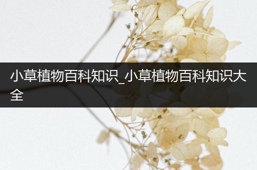 小草植物百科知识_小草植物百科知识大全