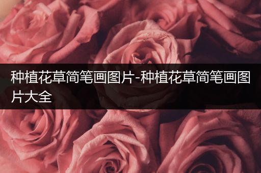 种植花草简笔画图片-种植花草简笔画图片大全
