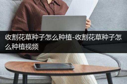 收割花草种子怎么种植-收割花草种子怎么种植视频