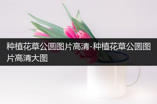 种植花草公圆图片高清-种植花草公圆图片高清大图