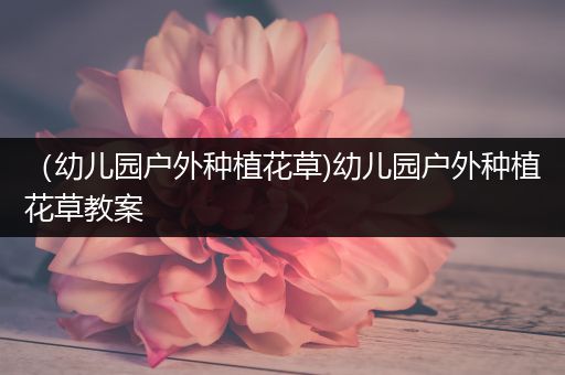 （幼儿园户外种植花草)幼儿园户外种植花草教案
