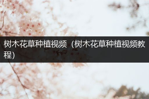 树木花草种植视频（树木花草种植视频教程）