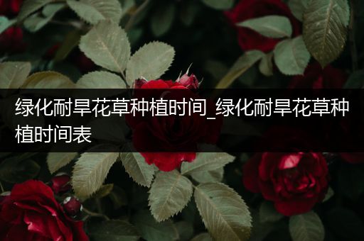 绿化耐旱花草种植时间_绿化耐旱花草种植时间表